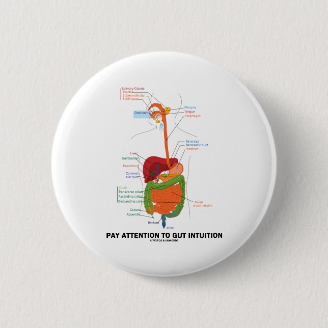 Pay Attention To Gut Intuition (Digestive System) Button (Front)