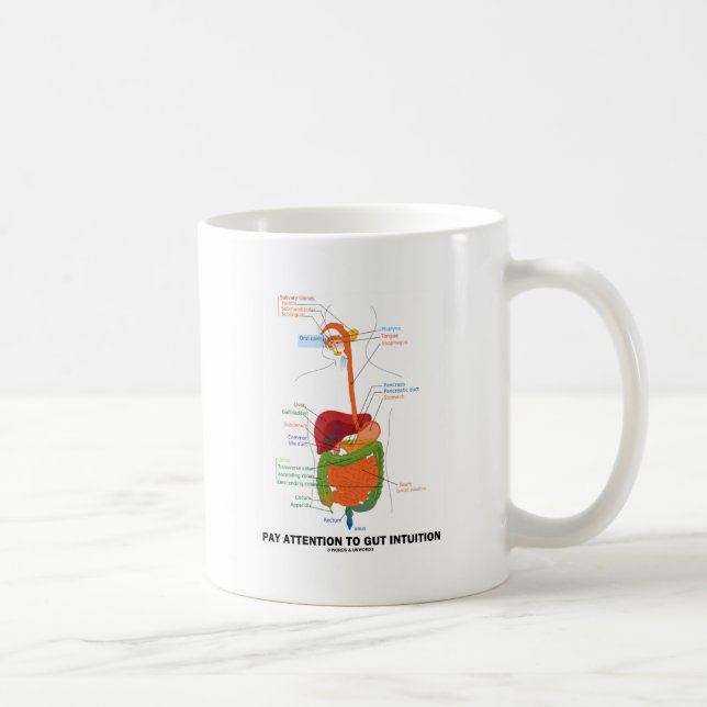 Pay Attention To Gut Intuition (Digestive System) Coffee Mug (Right)