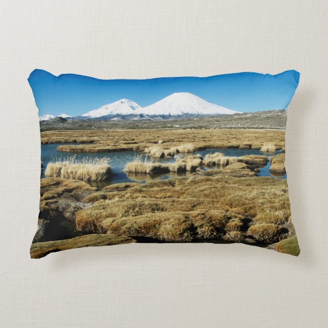 Payachalas Volcanos Accent Pillow (Front)