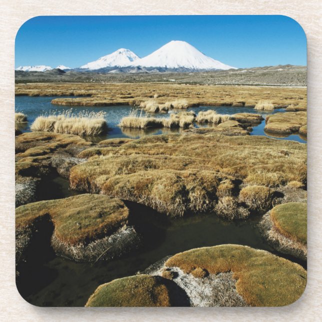 Payachalas Volcanos Beverage Coaster (Front)