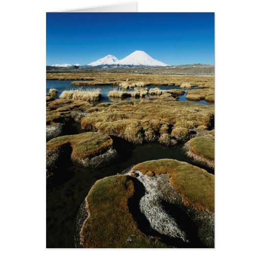 Payachalas Volcanos Cards (Front)