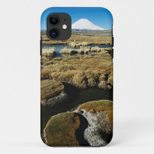 Payachalas Volcanos iPhone 11 Case