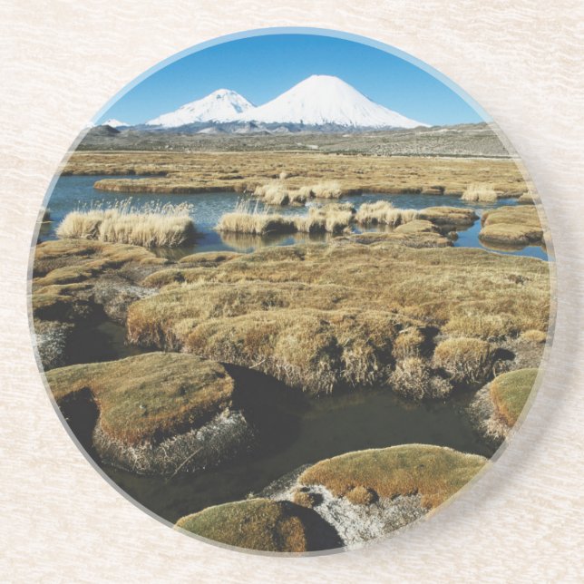 Payachalas Volcanos Drink Coaster (Front)
