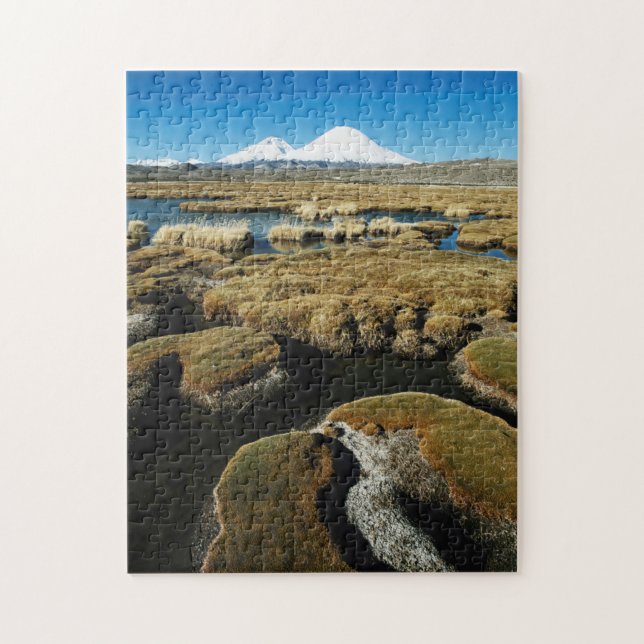 Payachalas Volcanos Jigsaw Puzzle (Vertical)