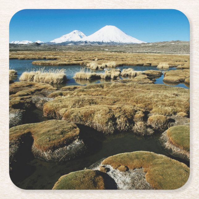 Payachalas Volcanos Square Paper Coaster (Front)