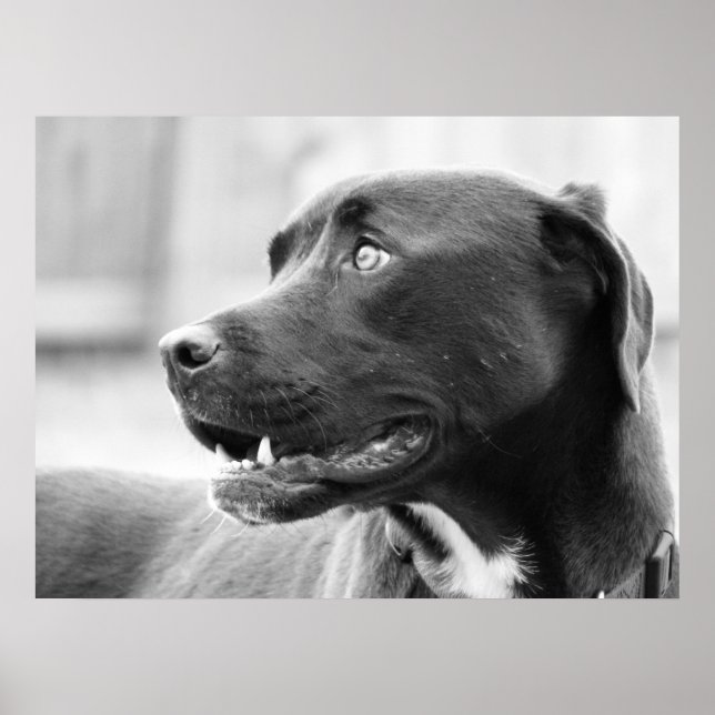 Paying attention poster (Front)