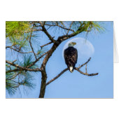 PB and the Moon (Front Horizontal)