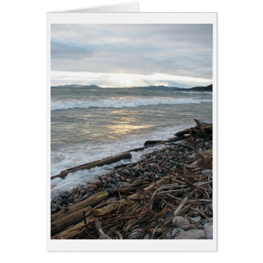 pb waves cards (Front)