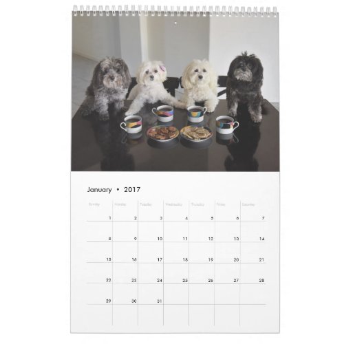 PBJ Pack 2017 Calendar