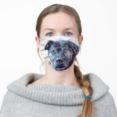 PBRC Pit Bull Face Mask Koda (Worn)