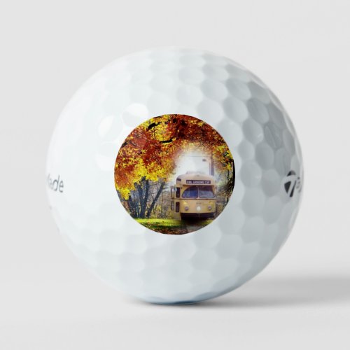 PCC Work Car in Woods 12pk Taylor Made Golf Balls
