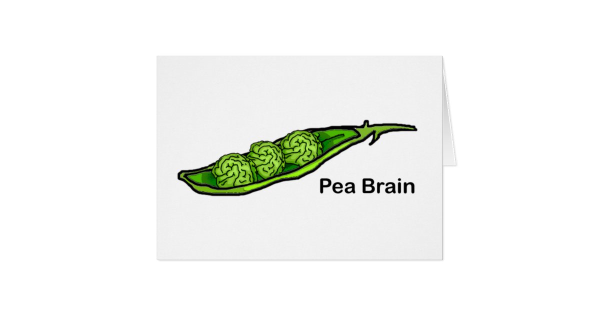 Pea Brain | Zazzle.com