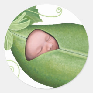 Pea Pod Baby Classic Round Sticker