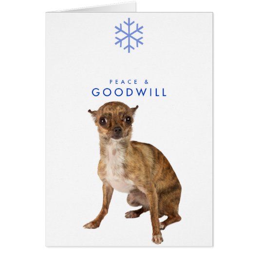 PEACE AND GOODWILL_1 CARDS (Front)