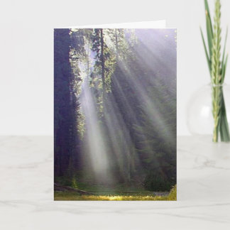 Peace and Joy Holiday Card