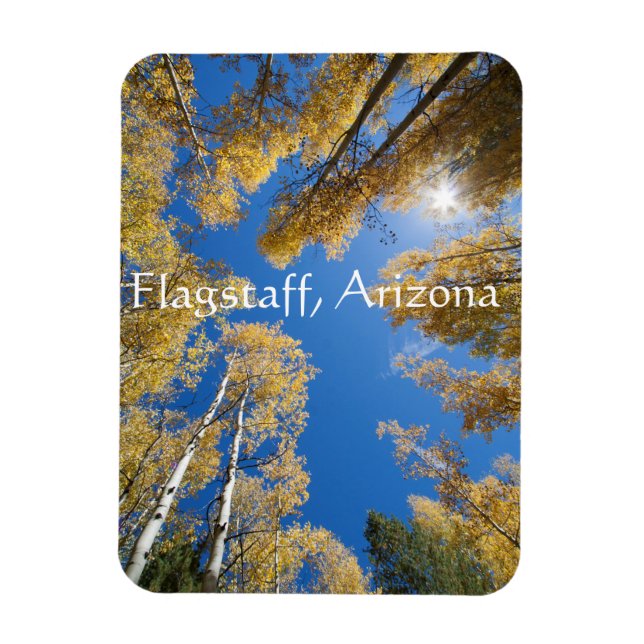 Peace and serenity Aspen trees, Flagstaff, Arizona Magnet (Vertical)