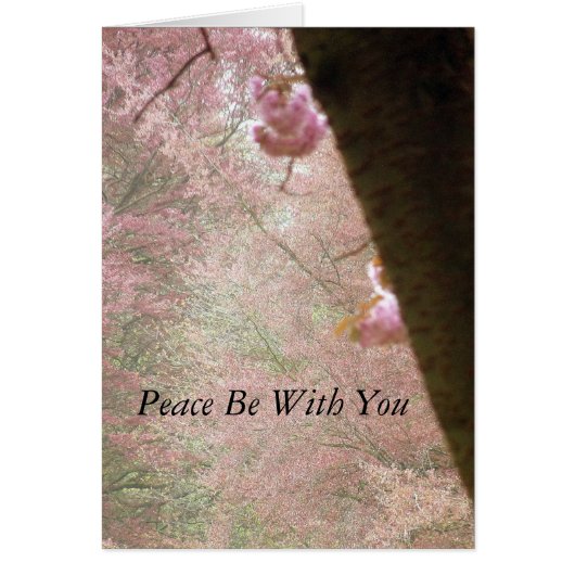Peace Be With You Pink Blossom Card (Front)