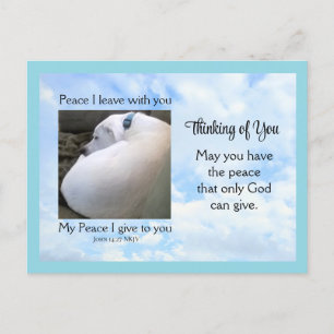 Peace Bible Verse Dog Photo in Cloudy Blue Sky Holiday Postcard