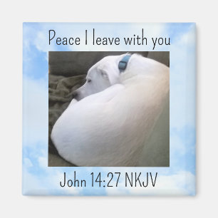 Peace Bible Verse Dog Photo in Light Blue Sky Magnet