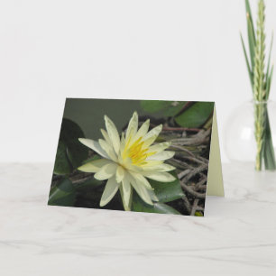 Peace Card