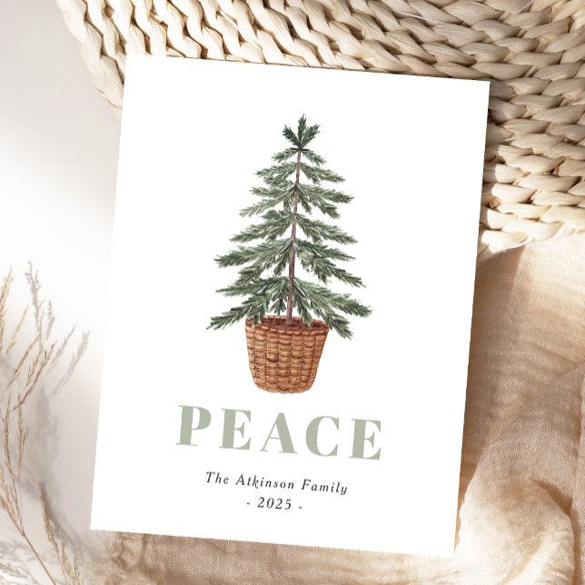 Peace Christmas Evergreen Tree Simple Holiday Postcard (Creator Uploaded)