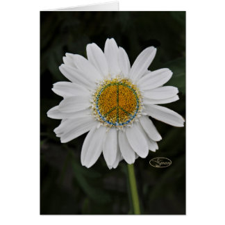 peace daisy cards