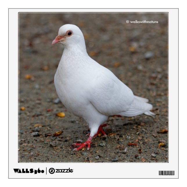 Peace Dove on the Pebbles Wall Decal (Front)