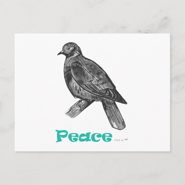 Peace Dove Postcard (Front)