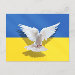 Peace Dove Ukraine Flag Postcard Support Freedom