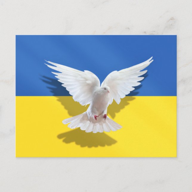 Peace Dove Ukraine Flag Postcard Support Freedom (Front)