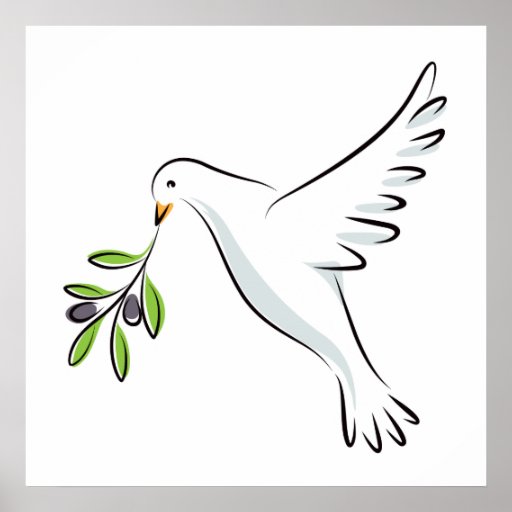 Peace dove with olive branch posters | Zazzle