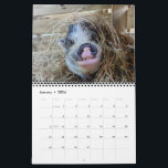 Peace Farm Calendar<br><div class="desc">Calendar for the Peace Farm Animal Sanctuary for 2024.</div>