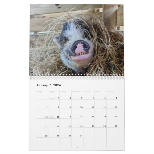 Peace Farm Calendar