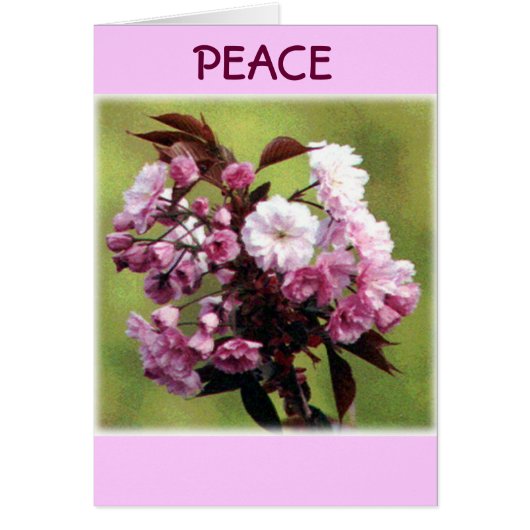 Peace Flowers Cards (Front)