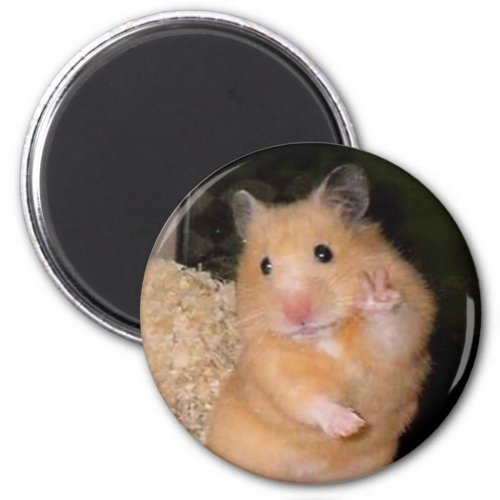 Peace Hamster Meme Magnet