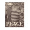 Peace Hippie Skate 