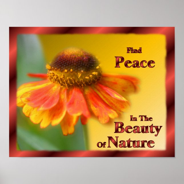 Peace In Nature Zinnia Flower Inspirational Poster (Front)