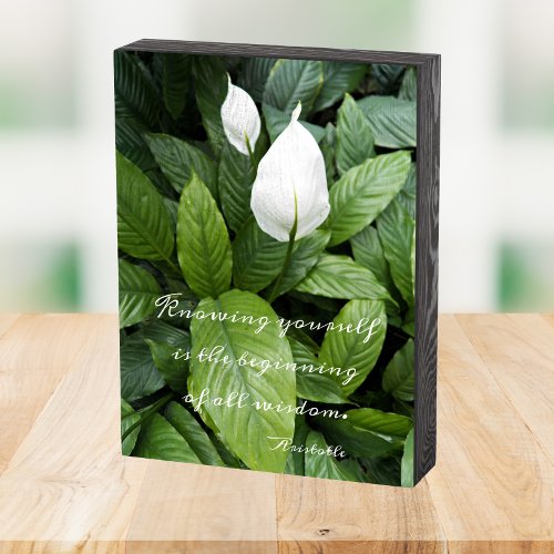 Peace Lily Aristotle Philosophical Wisdom Quotee Wooden Box Sign