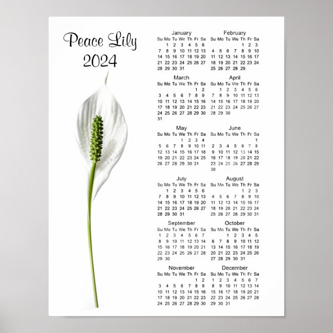 Peace Lily Design 2024 Calendar Poster