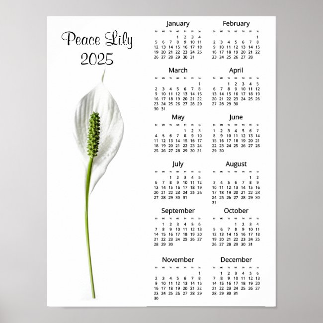 Peace Lily Design 2025 Calendar Poster