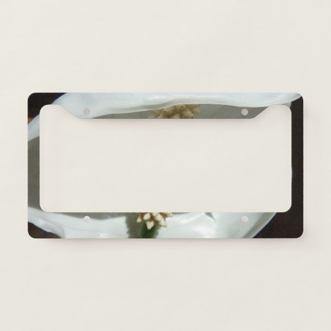 Peace Lily Elegant White Floral License Plate Frame (Front)
