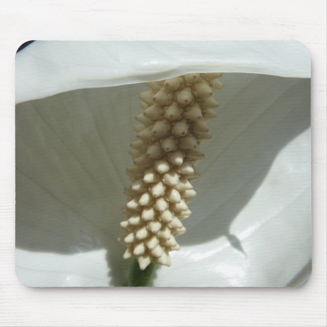 Peace Lily Elegant White Floral Mouse Pad (Front)