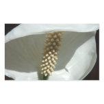 Peace Lily Elegant White Floral Rectangular Sticker