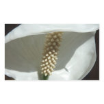 Peace Lily Elegant White Floral Rectangular Sticker