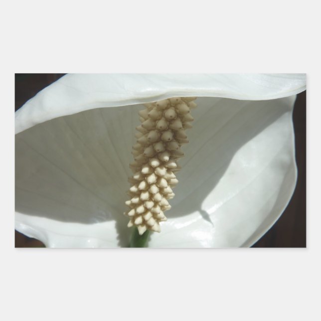 Peace Lily Elegant White Floral Rectangular Sticker (Front)