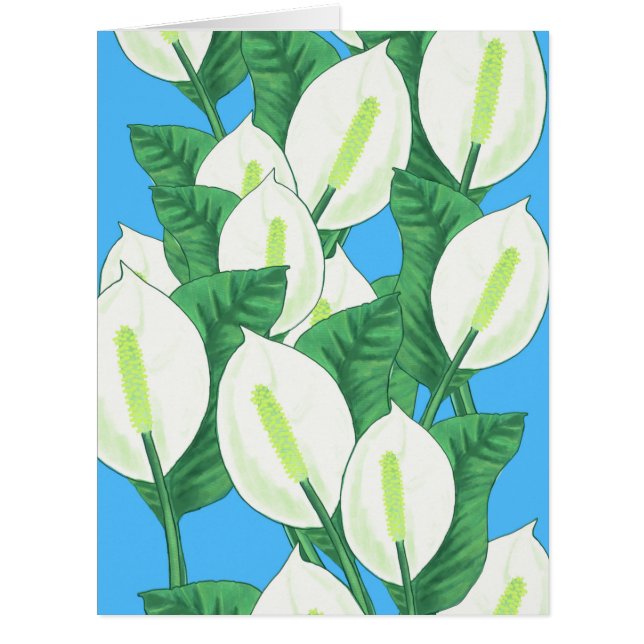Peace Lily Illustration  Cards (Front)