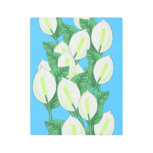 Peace Lily Illustration Metal Print