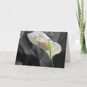 Peace Lily Photo "Happy Birthday!" Card