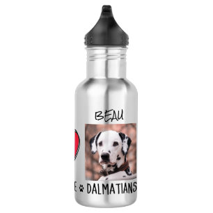 Peace Love Dalmatian Dog Lovers Stainless Steel Wa Water Bottle