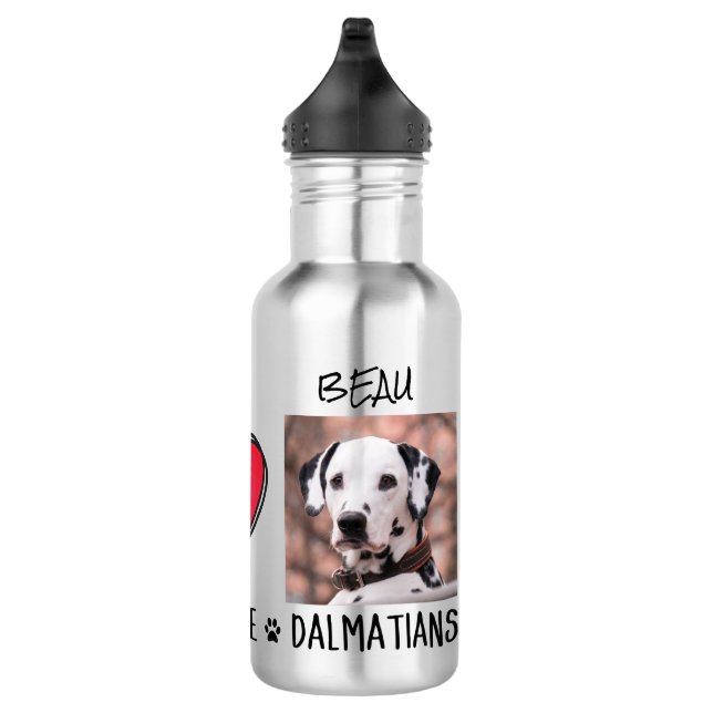 Peace Love Dalmatian Dog Lovers Stainless Steel Wa Water Bottle (Right)